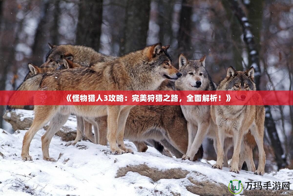 《怪物獵人3攻略：完美狩獵之路，全面解析！》