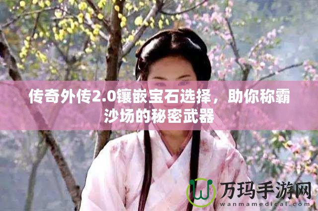 傳奇外傳2.0鑲嵌寶石選擇，助你稱霸沙場的秘密武器