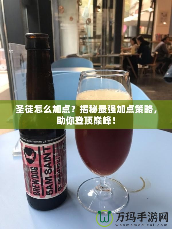 圣徒怎么加點？揭秘最強加點策略，助你登頂巔峰！