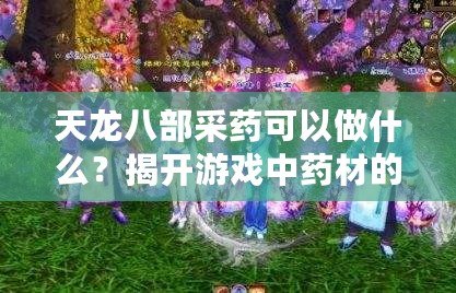 天龍八部采藥可以做什么？揭開游戲中藥材的神秘面紗！