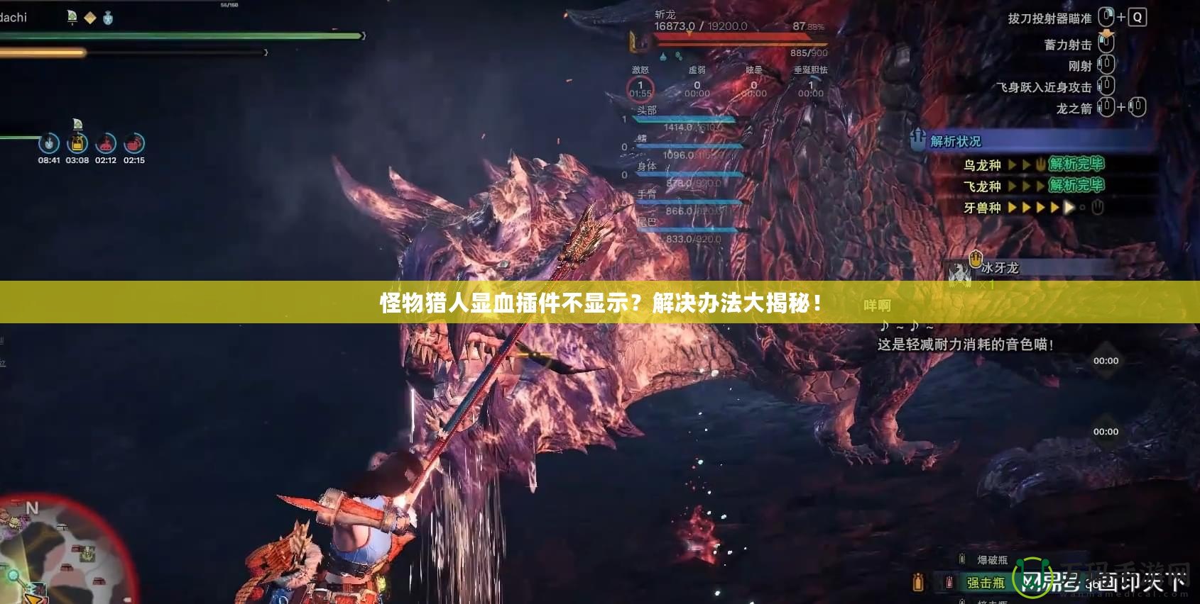 怪物獵人顯血插件不顯示？解決辦法大揭秘！