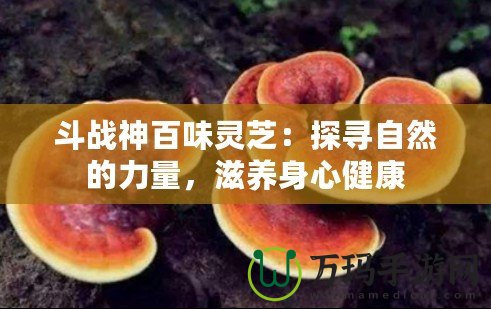 斗戰(zhàn)神百味靈芝：探尋自然的力量，滋養(yǎng)身心健康