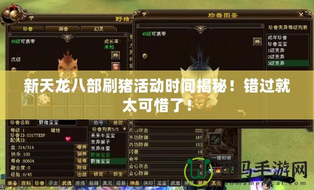 新天龍八部刷豬活動時間揭秘！錯過就太可惜了！