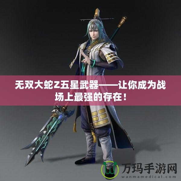 無(wú)雙大蛇Z五星武器——讓你成為戰(zhàn)場(chǎng)上最強(qiáng)的存在！