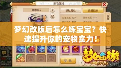 夢幻改版后怎么練寶寶？快速提升你的寵物實力！