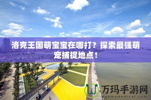 洛克王國萌寶寶在哪打？探索最強萌寵捕捉地點！