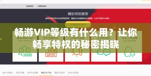 暢游VIP等級(jí)有什么用？讓你暢享特權(quán)的秘密揭曉