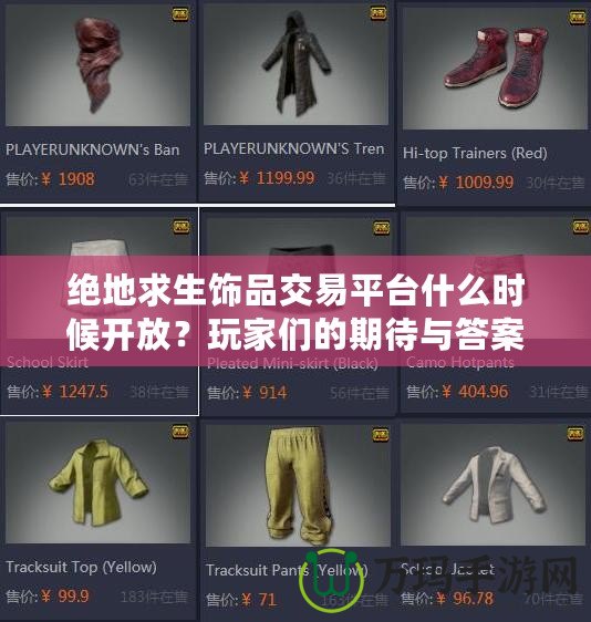 絕地求生飾品交易平臺什么時候開放？玩家們的期待與答案
