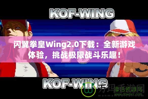 閃翼拳皇Wing2.0下載：全新游戲體驗(yàn)，挑戰(zhàn)極限戰(zhàn)斗樂(lè)趣！