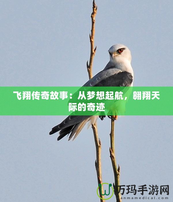 飛翔傳奇故事：從夢想起航，翱翔天際的奇跡