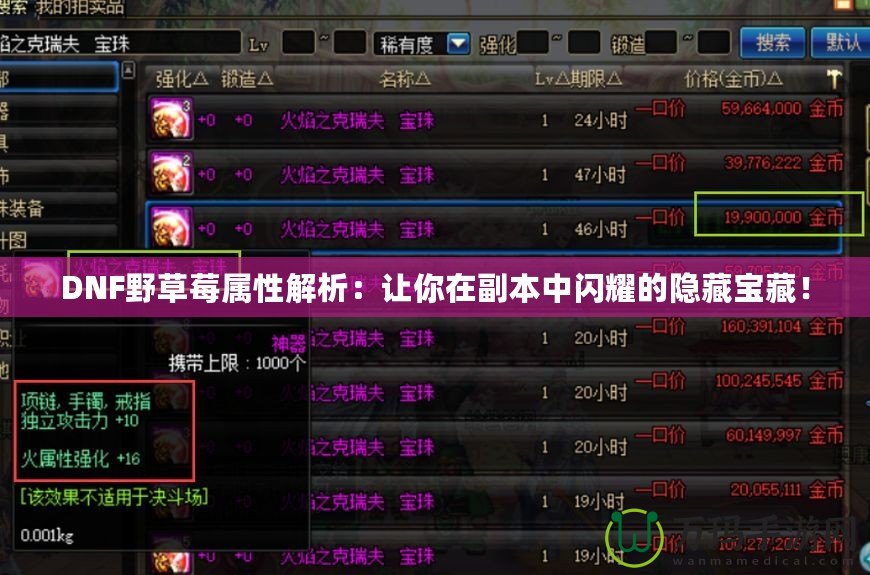 DNF野草莓屬性解析：讓你在副本中閃耀的隱藏寶藏！