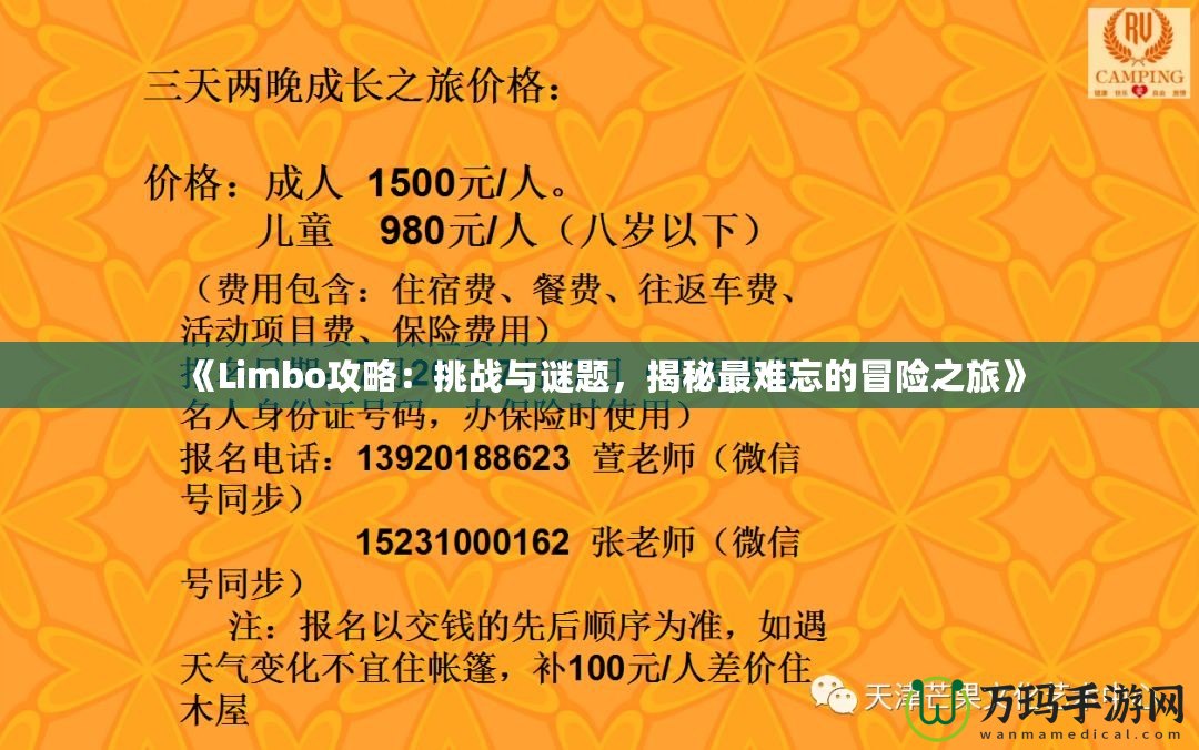 《Limbo攻略：挑戰(zhàn)與謎題，揭秘最難忘的冒險之旅》