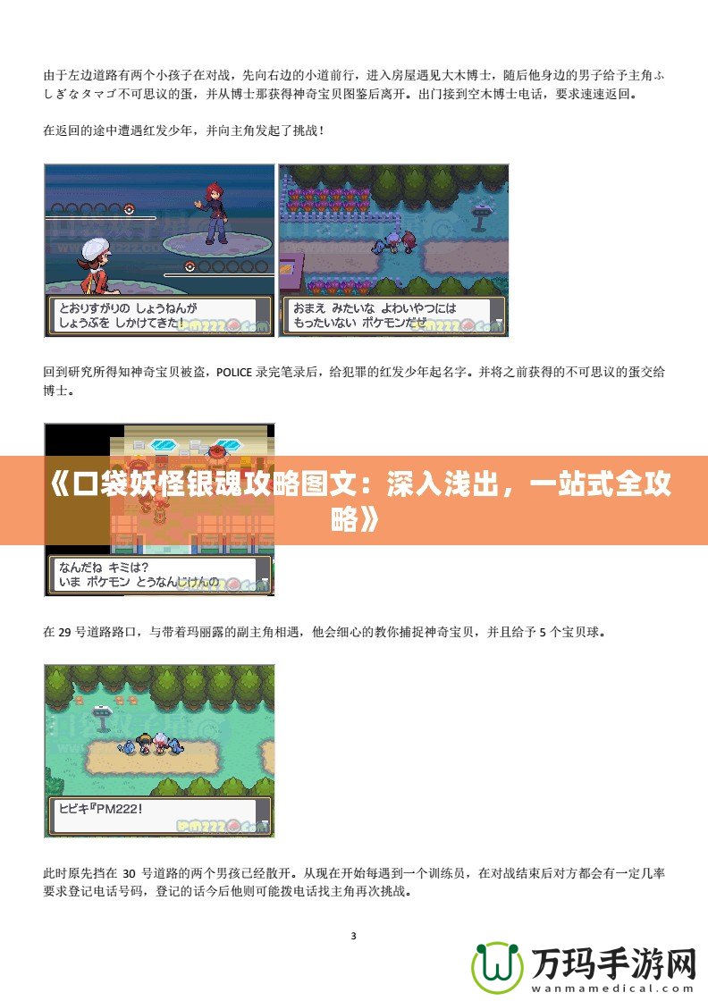 《口袋妖怪銀魂攻略圖文：深入淺出，一站式全攻略》