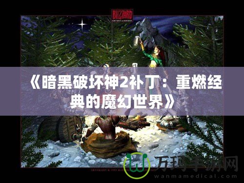 《暗黑破壞神2補(bǔ)?。褐厝冀?jīng)典的魔幻世界》