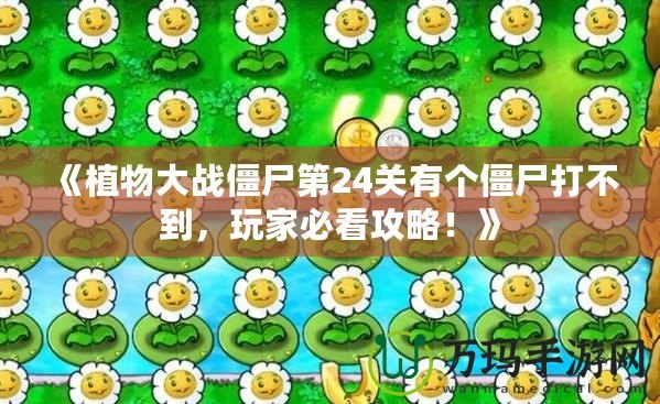 《植物大戰(zhàn)僵尸第24關(guān)有個僵尸打不到，玩家必看攻略！》