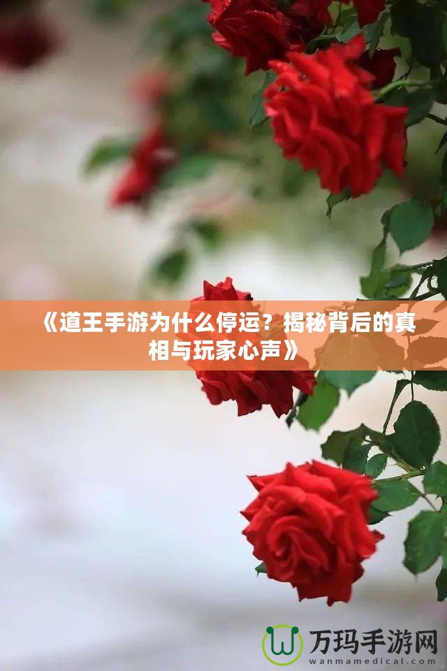 《道王手游為什么停運(yùn)？揭秘背后的真相與玩家心聲》