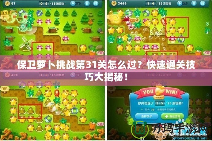 保衛(wèi)蘿卜挑戰(zhàn)第31關怎么過？快速通關技巧大揭秘！