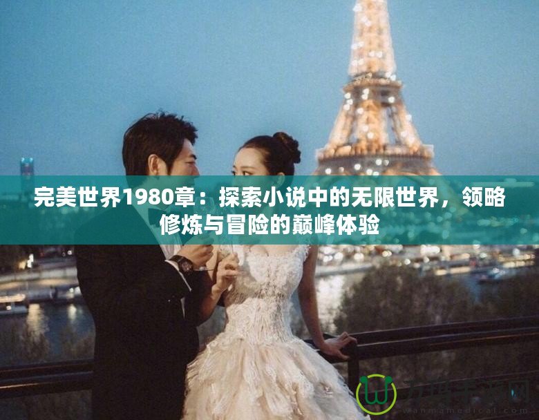完美世界1980章：探索小說中的無限世界，領(lǐng)略修煉與冒險的巔峰體驗