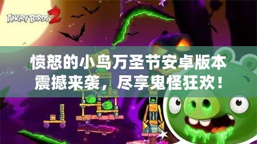 憤怒的小鳥萬圣節(jié)安卓版本震撼來襲，盡享鬼怪狂歡！