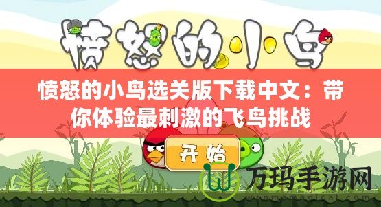 憤怒的小鳥(niǎo)選關(guān)版下載中文：帶你體驗(yàn)最刺激的飛鳥(niǎo)挑戰(zhàn)