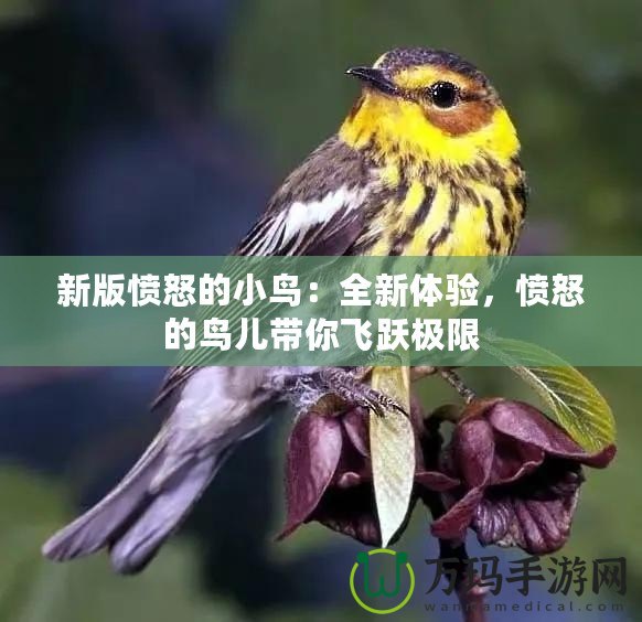 新版憤怒的小鳥：全新體驗(yàn)，憤怒的鳥兒帶你飛躍極限