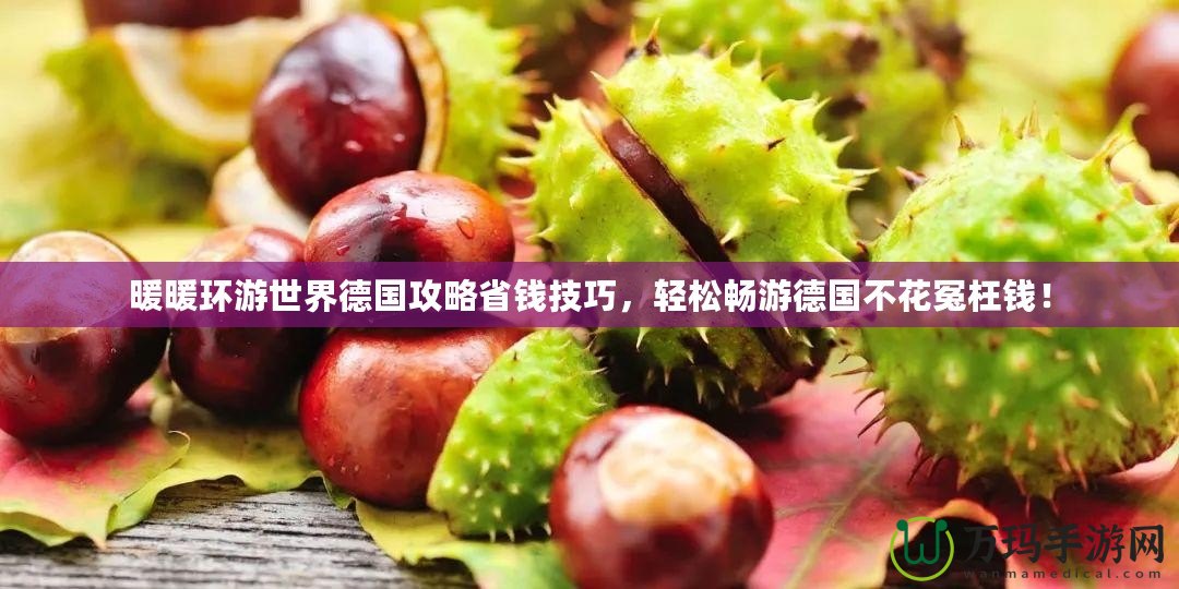 暖暖環(huán)游世界德國攻略省錢技巧，輕松暢游德國不花冤枉錢！