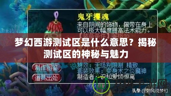 夢幻西游測試區(qū)是什么意思？揭秘測試區(qū)的神秘與魅力