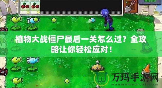 植物大戰(zhàn)僵尸最后一關(guān)怎么過(guò)？全攻略讓你輕松應(yīng)對(duì)！