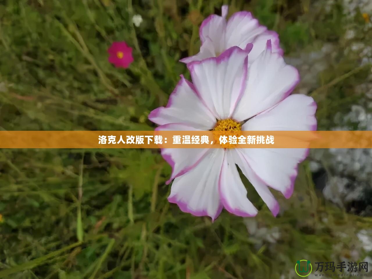 洛克人改版下載：重溫經(jīng)典，體驗全新挑戰(zhàn)