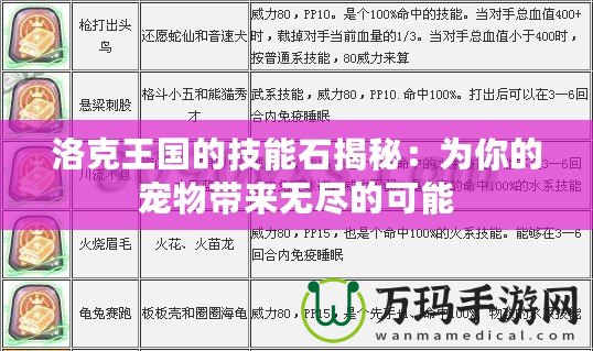洛克王國(guó)的技能石揭秘：為你的寵物帶來無(wú)盡的可能