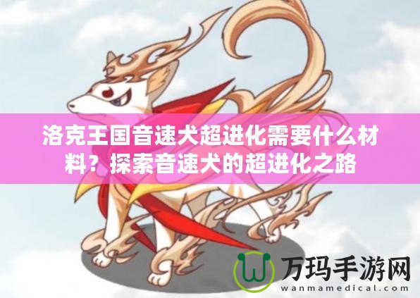 洛克王國音速犬超進(jìn)化需要什么材料？探索音速犬的超進(jìn)化之路