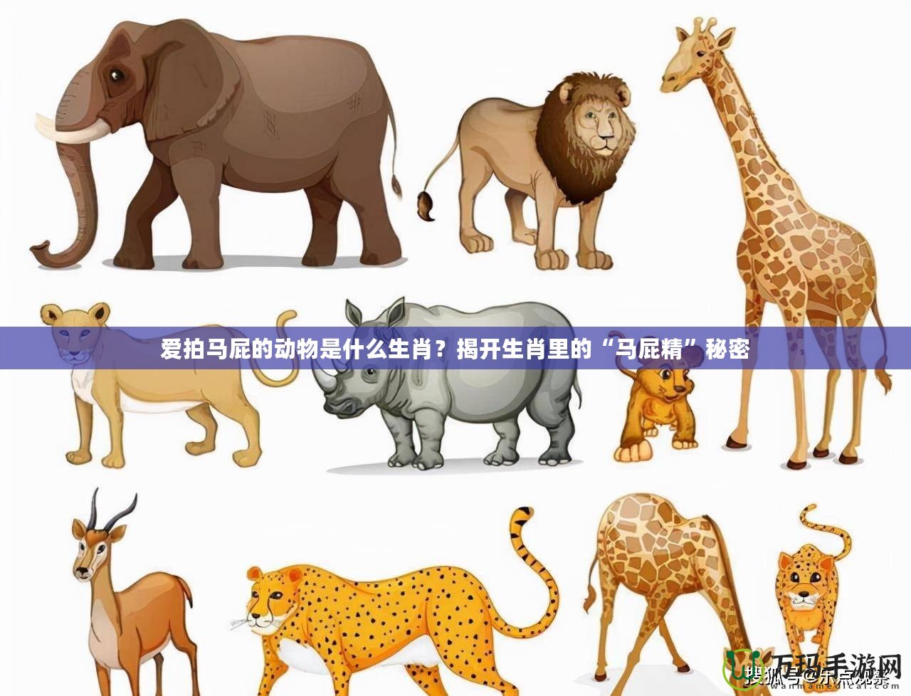 愛拍馬屁的動物是什么生肖？揭開生肖里的“馬屁精”秘密