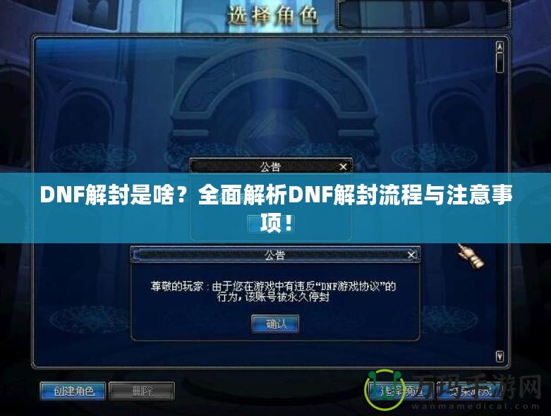 DNF解封是啥？全面解析DNF解封流程與注意事項(xiàng)！