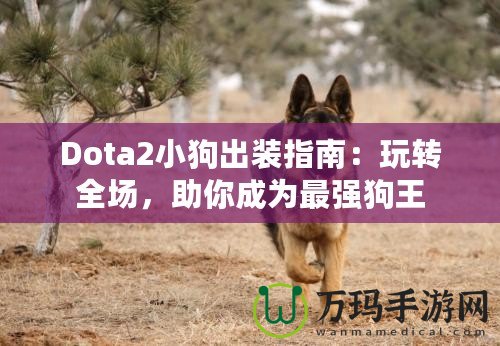 Dota2小狗出裝指南：玩轉(zhuǎn)全場，助你成為最強(qiáng)狗王