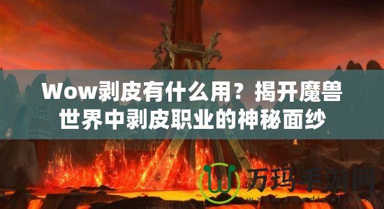 Wow剝皮有什么用？揭開魔獸世界中剝皮職業(yè)的神秘面紗