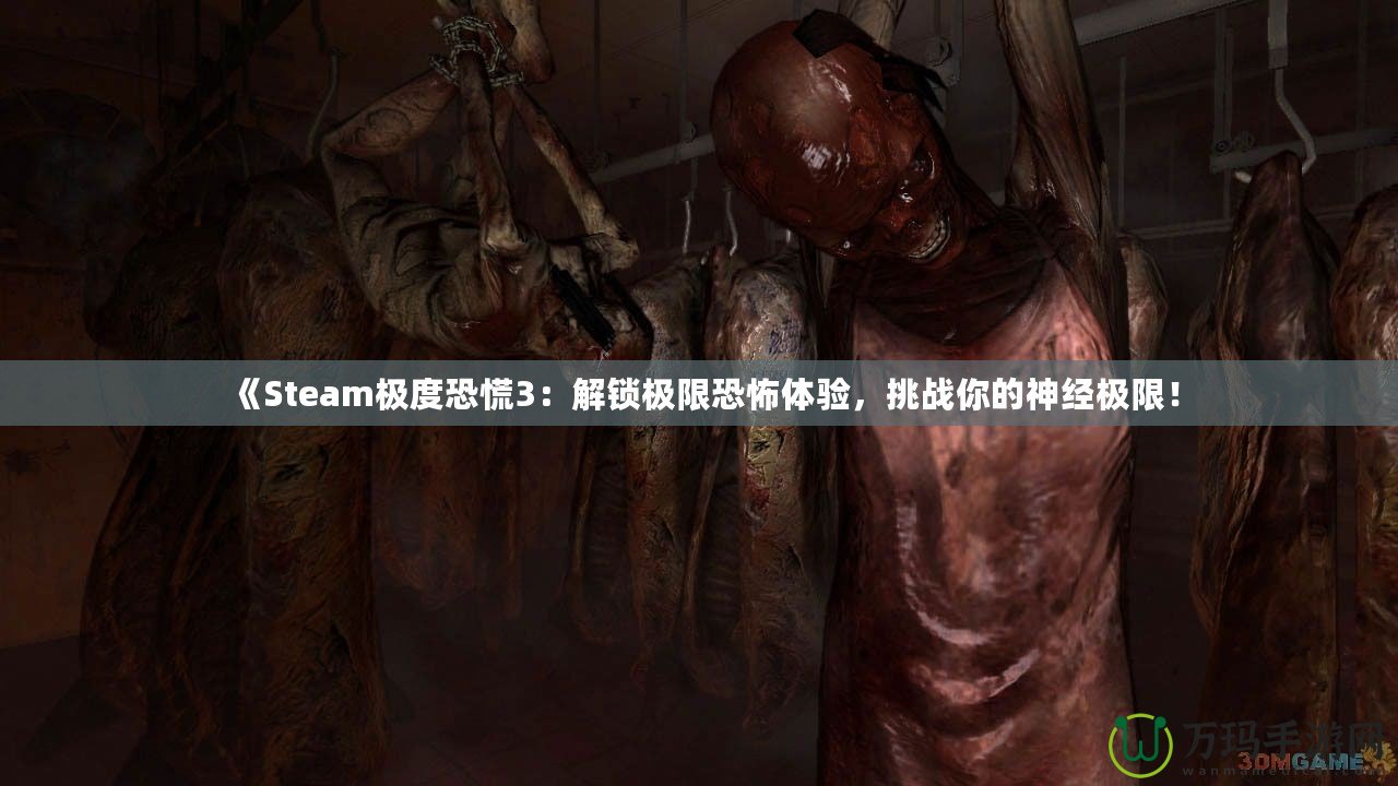 《Steam極度恐慌3：解鎖極限恐怖體驗，挑戰(zhàn)你的神經(jīng)極限！