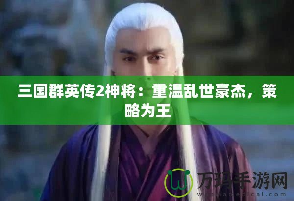 三國(guó)群英傳2神將：重溫亂世豪杰，策略為王