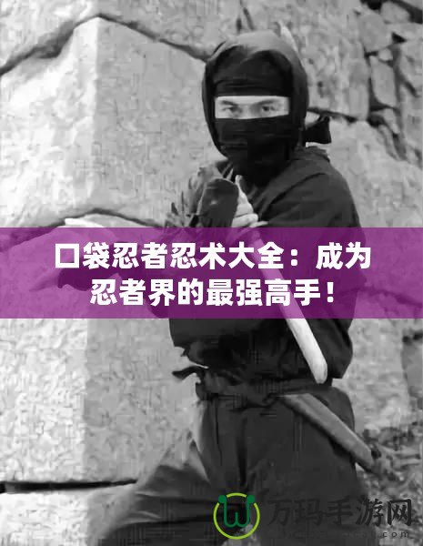 口袋忍者忍術(shù)大全：成為忍者界的最強(qiáng)高手！