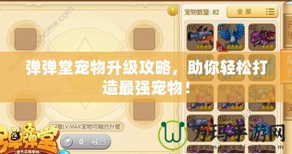 彈彈堂寵物升級攻略，助你輕松打造最強寵物！