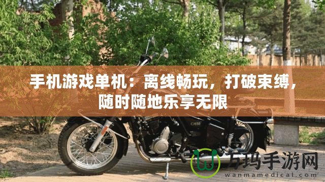 手機(jī)游戲單機(jī)：離線暢玩，打破束縛，隨時(shí)隨地樂享無限
