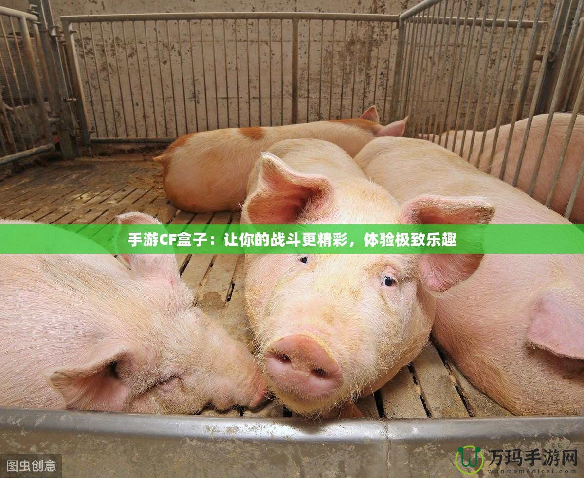 手游CF盒子：讓你的戰(zhàn)斗更精彩，體驗(yàn)極致樂趣