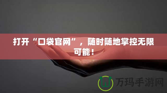 打開“口袋官網”，隨時隨地掌控無限可能！