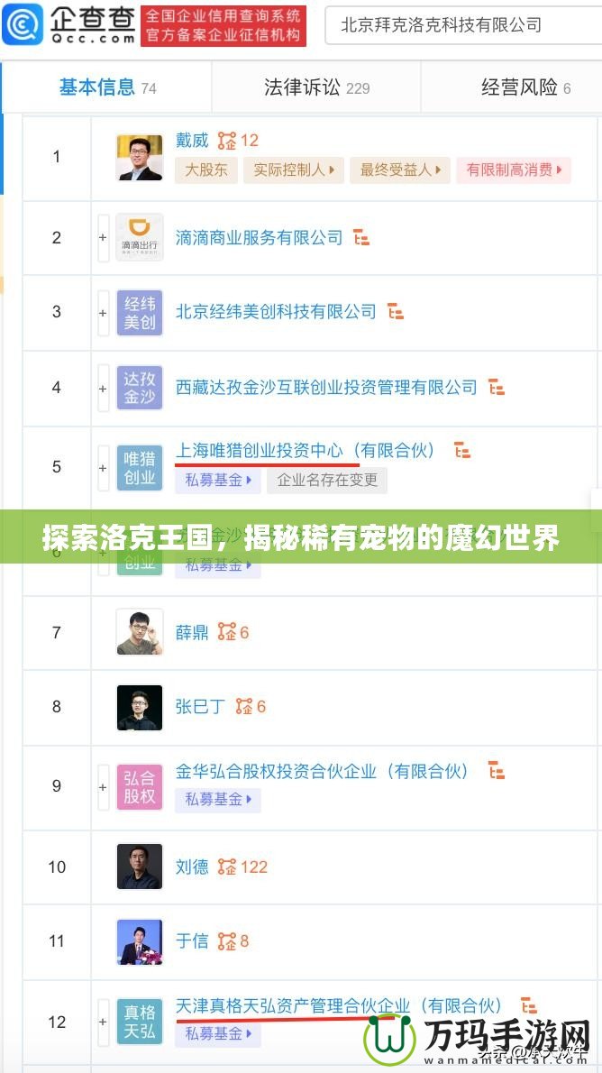 探索洛克王國，揭秘稀有寵物的魔幻世界