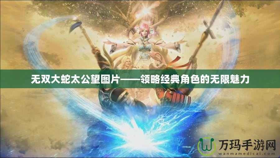 無雙大蛇太公望圖片——領(lǐng)略經(jīng)典角色的無限魅力