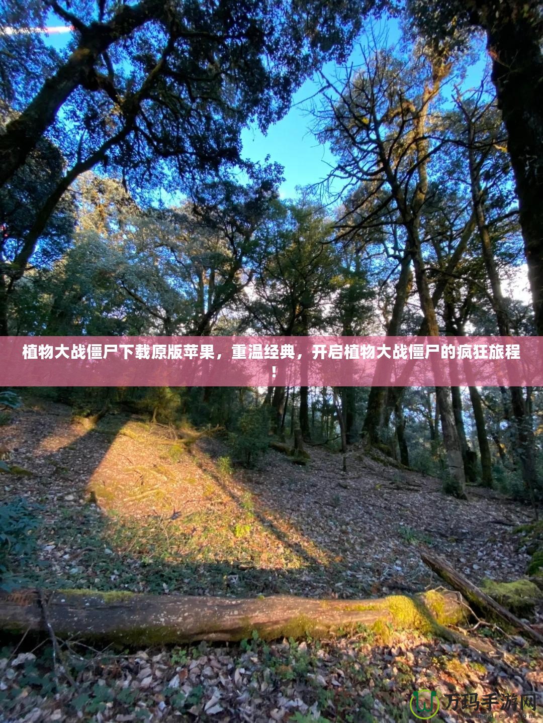 植物大戰(zhàn)僵尸下載原版蘋果，重溫經(jīng)典，開啟植物大戰(zhàn)僵尸的瘋狂旅程！