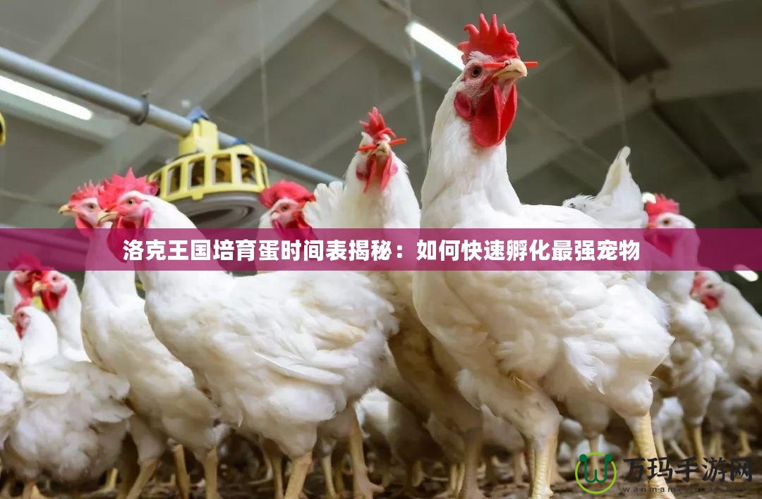 洛克王國(guó)培育蛋時(shí)間表揭秘：如何快速孵化最強(qiáng)寵物