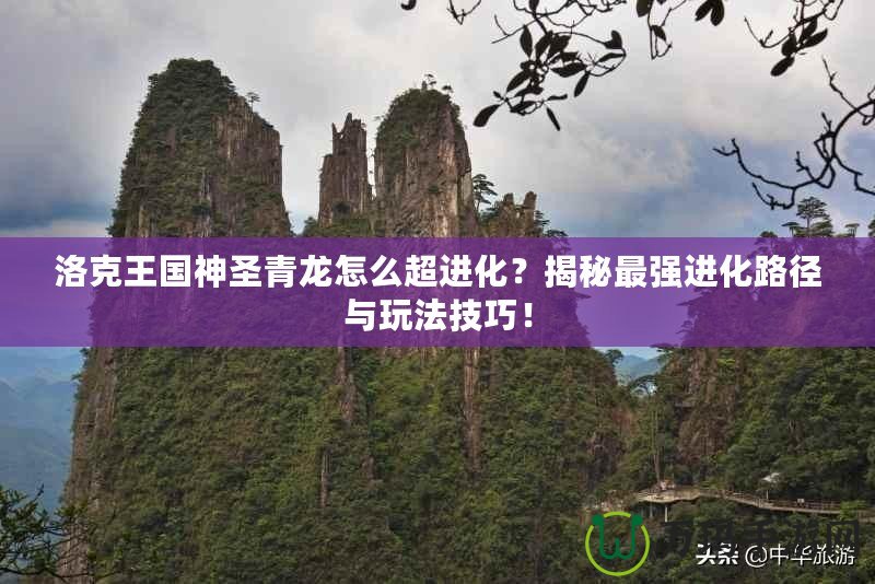 洛克王國(guó)神圣青龍?jiān)趺闯M(jìn)化？揭秘最強(qiáng)進(jìn)化路徑與玩法技巧！