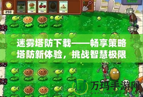 迷霧塔防下載——暢享策略塔防新體驗，挑戰(zhàn)智慧極限！