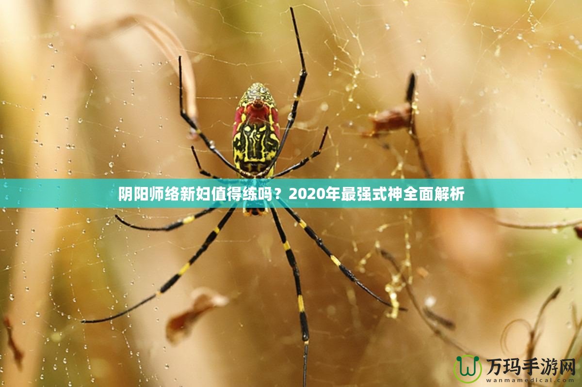 陰陽師絡(luò)新婦值得練嗎？2020年最強(qiáng)式神全面解析