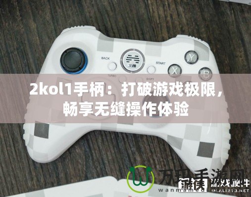 2kol1手柄：打破游戲極限，暢享無縫操作體驗(yàn)